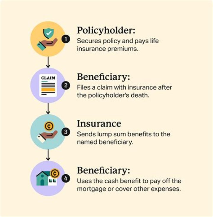 an individual life insurance policy must include
