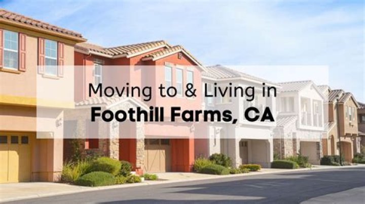 Tree Removal in Foothill Farms CA